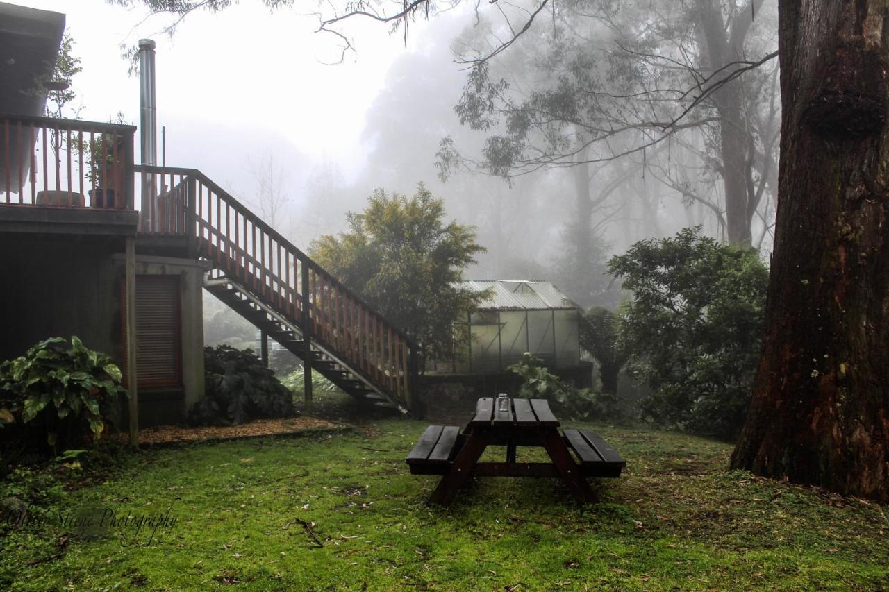 Tomah Retreat - Studio Chill With Fireplace And Clawfoot Bath Acomodação com café da manhã Mount Tomah Exterior foto