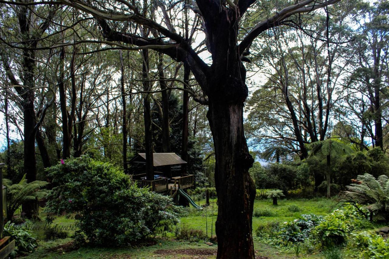 Tomah Retreat - Studio Chill With Fireplace And Clawfoot Bath Acomodação com café da manhã Mount Tomah Exterior foto